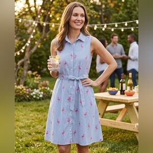 Chloe+Rene Seersucker Pink Flamingo Striped Sleeveless Button Down Shirt Dress M